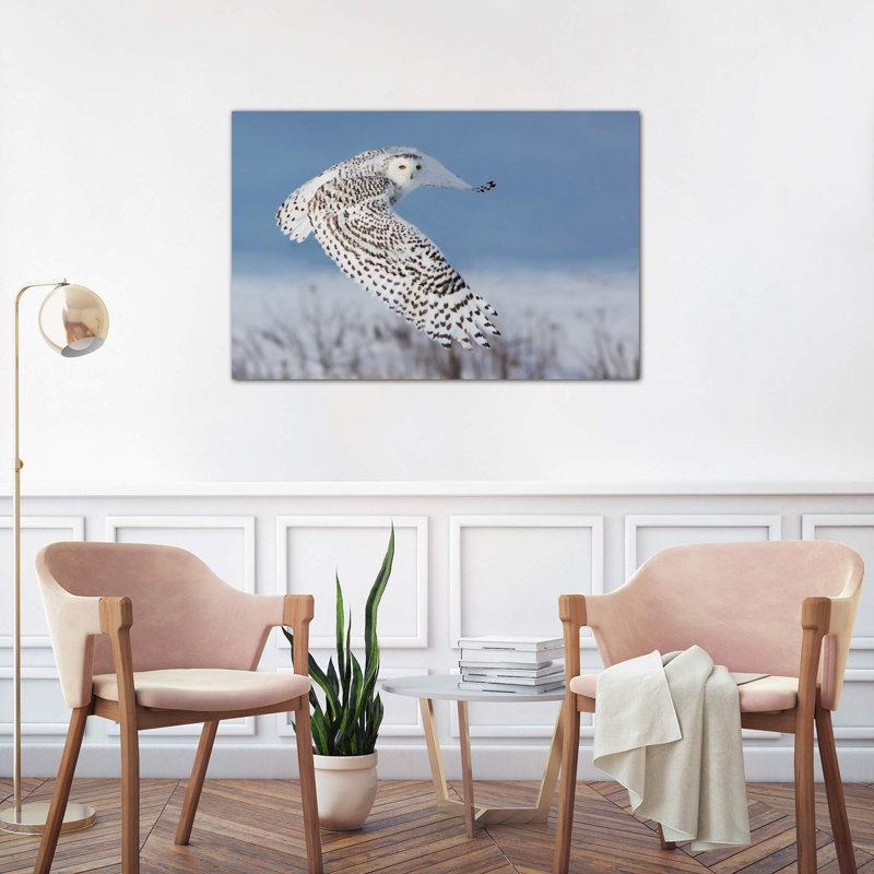 Snowy Owl by Mircea Costina - Wrapped Canvas Print, 66.04 cm H x 45.72 cm W x 1.91 cm D