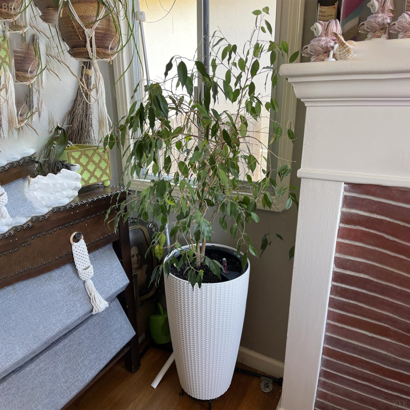 Set Of 2 Faux Rattan Tall Planters Outdoor Indoor Large Planters With Water Level Monitor Inner Bucket, Automatic Watering, Flower Plant Pots For Garden, Patio, Porch, Backyard