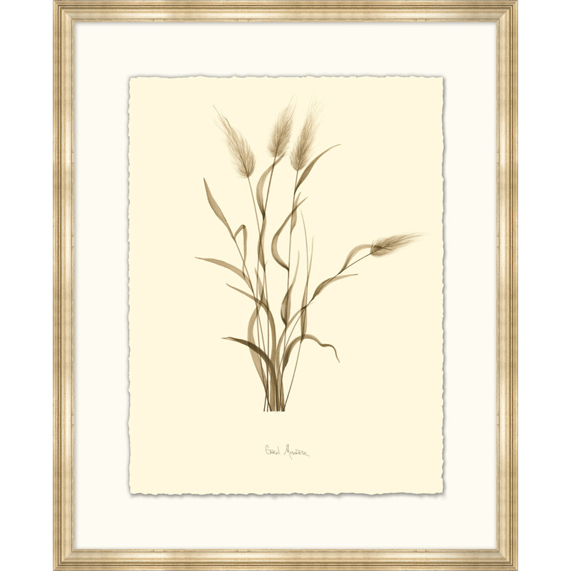 Hairs Tail - Peinture encadrée sur papier