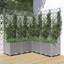 Ayham Raised Garden Bed with Trellis