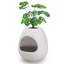 Polyethylene Plastic Litter Box-213346341