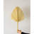 Palm Plant-1704806023-1674695397
