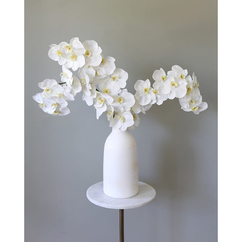 Green Phalaenopsis Orchid 33", White, 34" H x 3" W