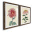 «Chrysanthemum Woodblock I», ensemble de 2 reproductions d'art sur papier encadrées-1740197487-1740197484