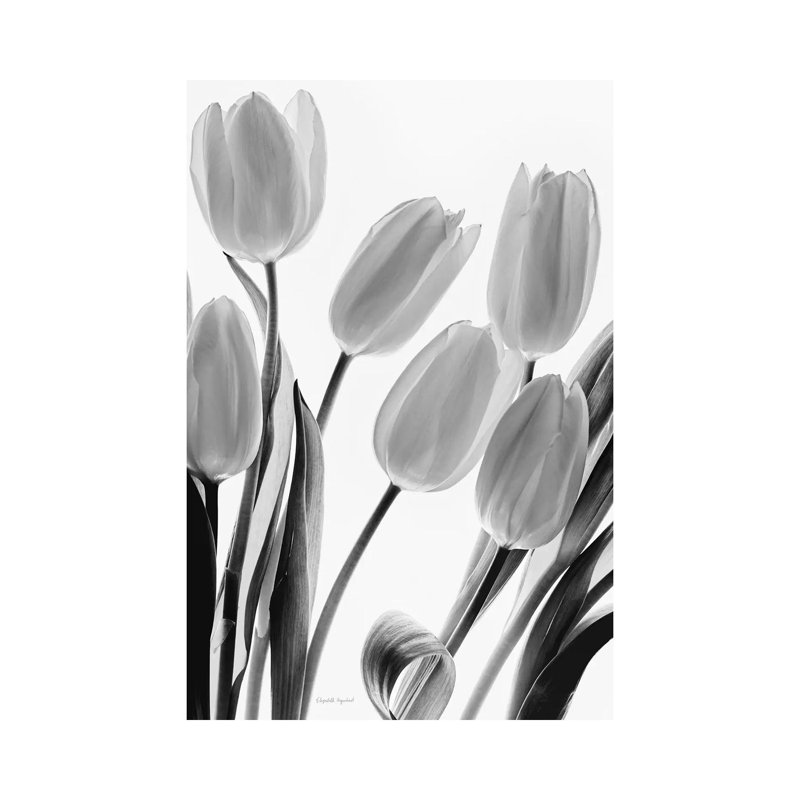 Shadows And Light I by Elizabeth Urquhart - Wrapped Canvas Print, 20.32 cm H x 30.48 cm W