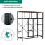 Ludwina 100cm W 9 - Drawer Chest of Drawers-1074617098