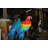 Jewell 2 Parrots on a Tree Statue