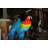 Two Large Parrots on a tree - Bronze Statue -  Size: 43"L x 28"W x 67"H. 