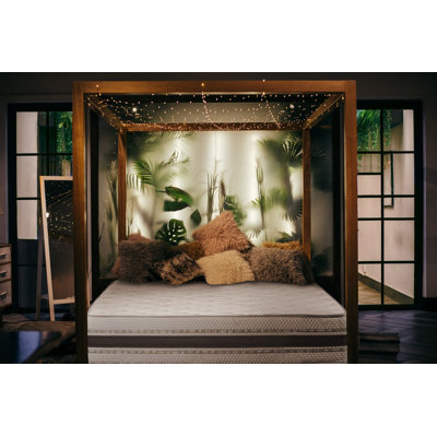 Delicia Symple Stuff Pocket Sprung Mattress