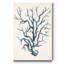 «Coastal Collection in Indigo IV», reproduction d'art sur toile tendue-264414711
