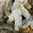 6Ft Pre-Lit Flocked Artificial Pine Christmas Tree with Pinecones