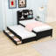 Izquierdo LED Storage Bed with Hidden Compartment and Twin Trundle-1442892831-1442892821