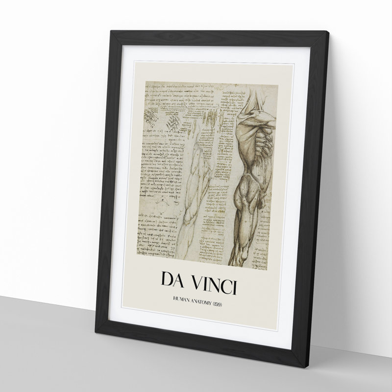 Human Anatomy Vol.6 by Leonardo Da Vinci - Picture Frame Drawing, 65cm H x 48cm W x 2cm D, Black Framed