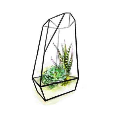 Terrarium