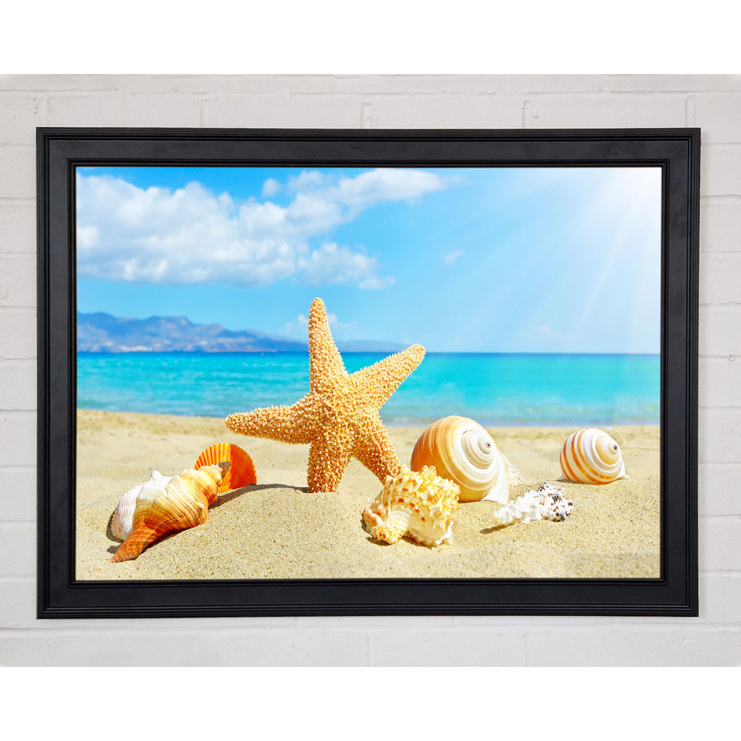 Gerahmter Fotodruck Starfish Standing In The Sand