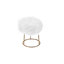 Repose-pieds avec rangement en fausse fourrure 13,8 po BirdRock Home-122363289-122681471