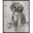 " Paco " by Albena Hristova-23611259-24088046-24422333