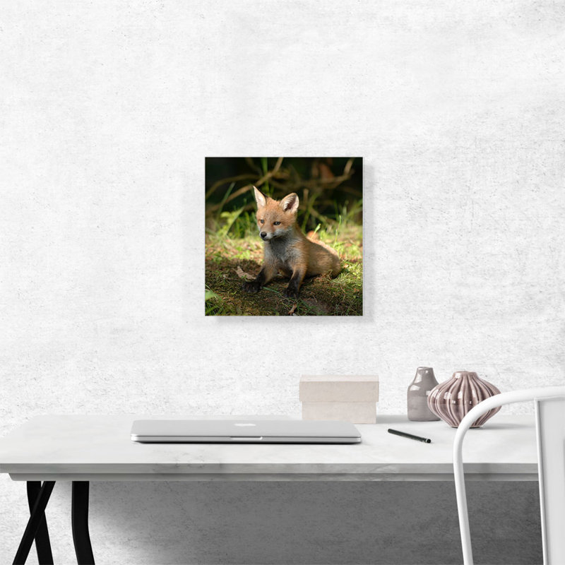 «Little Fox in Forest Home Decor», reproduction de photo sur toile tendue, H 12 po x l 12 po x P 0,75 po