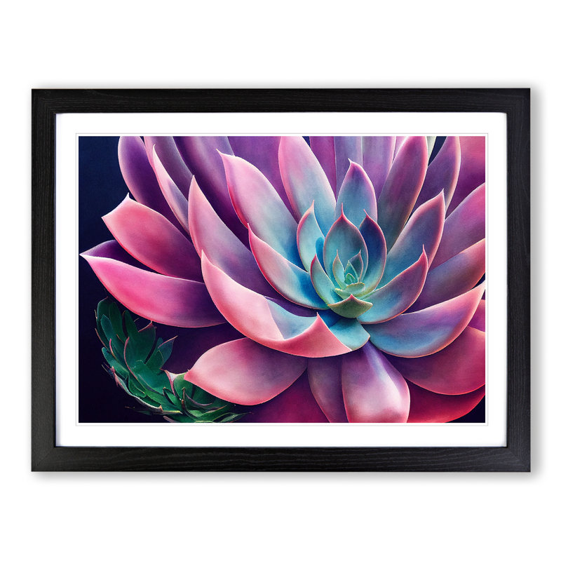 Watercolour Succulent Plant Vol.1 - Single Picture Frame Print, Black, 25cm H x 34cm W