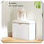 Banc de rangement pour chaussures d'entrée élégant et compact-997631185-997631186