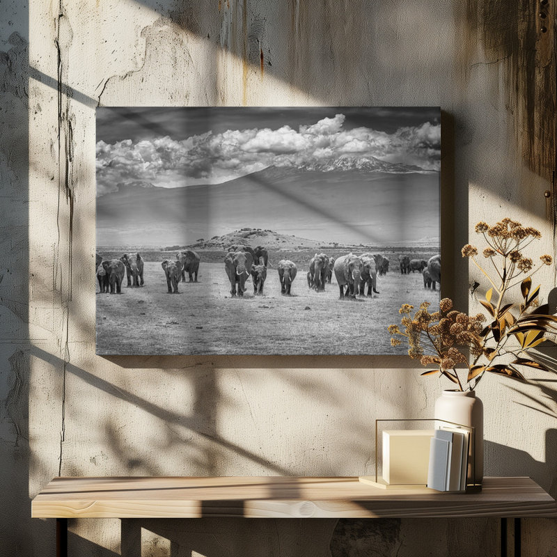 Wrapped Canvas Print, 50.8 cm H x 76.2 cm W