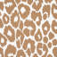 Iconic Leopard Wallpaper-69259196