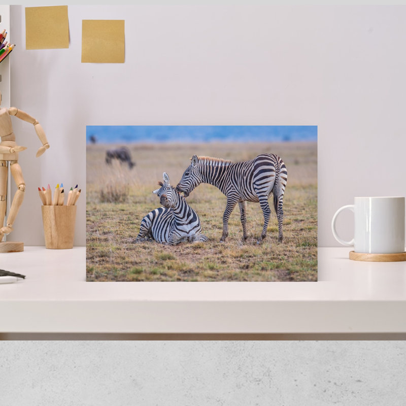Zebras Grooming Together Peaceful Serene Contemporary Zebra Nature Wildlife Wall Art Print by Jeffrey C. Sink - 1 Piece Wrapped Canvas Wall Art