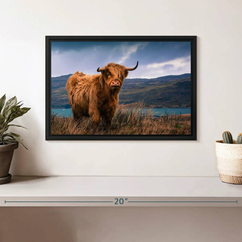 Brampt Large Highland Cow, 9" H x 13" W