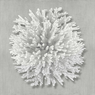 " Coral On Gray I " by Caroline Kelly