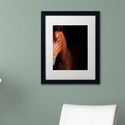 « kentucky cheval intense », reproduction de photo sur toile encadrée