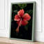 Crimson Hibiscus Botanical - Wrapped Canvas-92355504-92355509