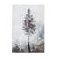 Art sur toile «bolle»-103094161