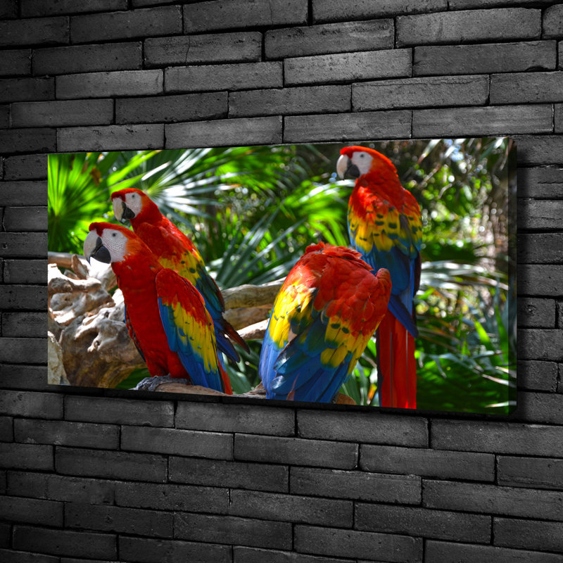 Macaw Parrots - Wrapped Canvas Print