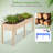 Raised Garden Bed Elevated Fir Wood Planter Box With 2 Large Planting Areas-1376967432