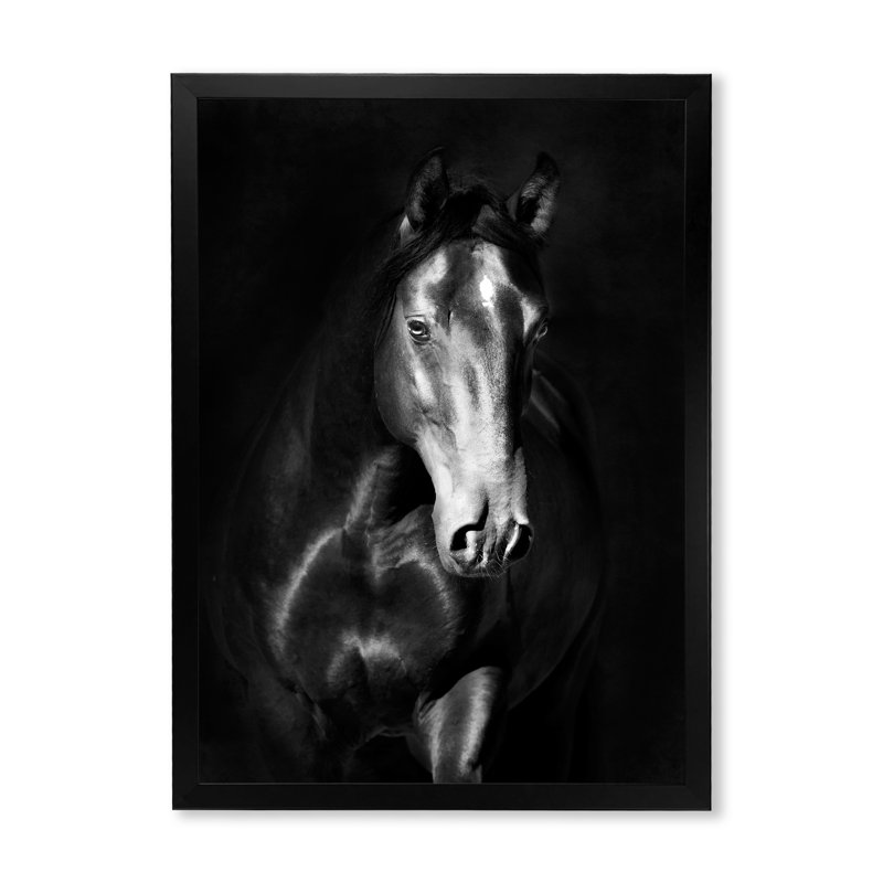 Portrait d'un cheval Kladruby noir - photographie sur toile, H 32 po x l 24 po x P 1,5 po, Toile encadrée noire