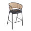 Tabouret de bar d'intérieur revêtu de métal, siège en similicuir avec dossier en rotin Wowen, ensemble de 2