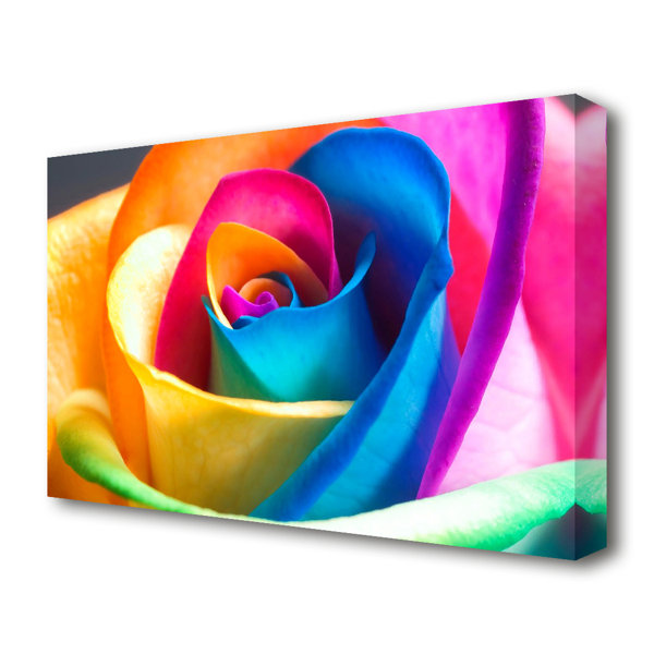 East Urban Home Rainbow Rose Flowers - Wrapped Canvas Print & Reviews ...