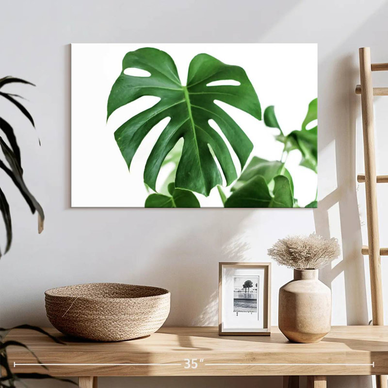 Feuille Harnek Monstera, H 16 po x l 24 po