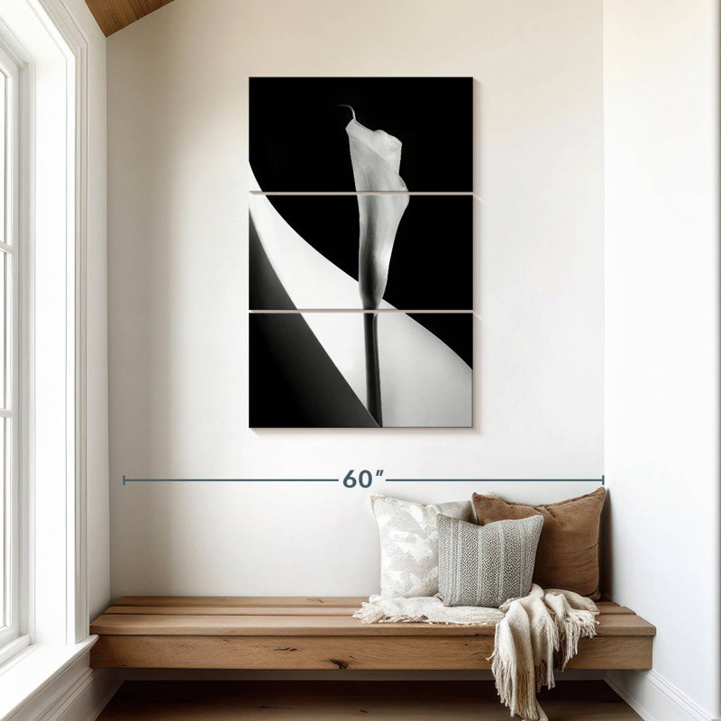 Harnek BW Calla Lily, 45" H x 28" W
