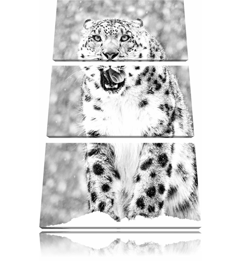 3-tlg. Leinwandbilder-Set „Leopard im Schnee“, Fotodruck