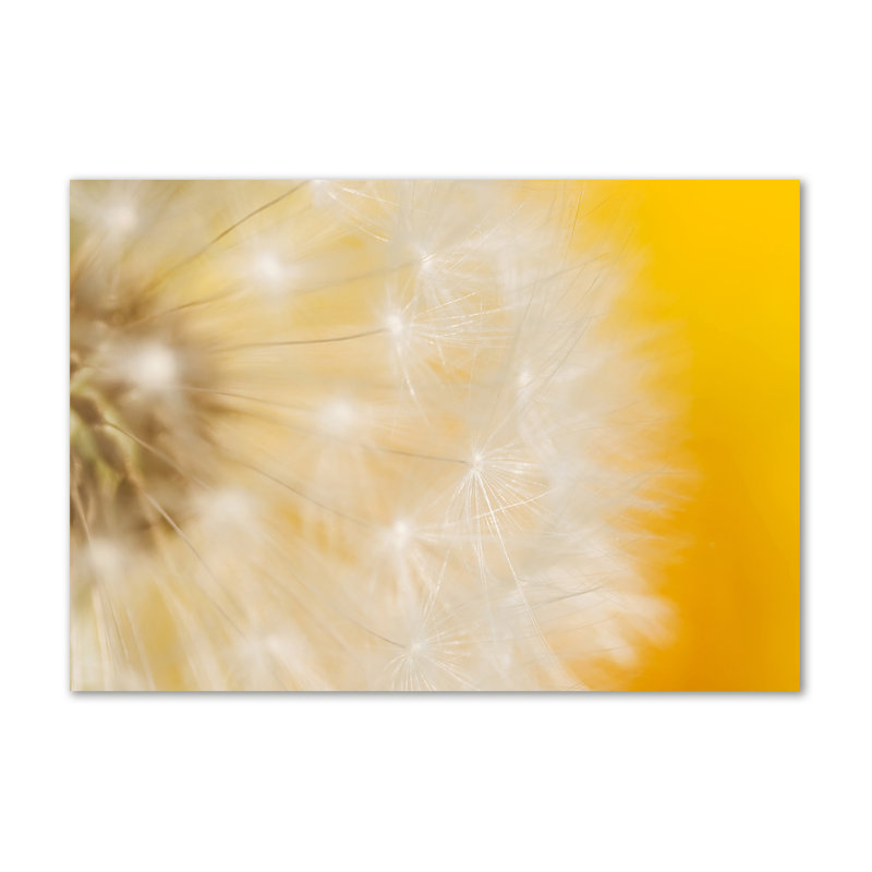Dandelion - No Frame Print on Canvas