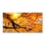 50cm W x 100cm L Glass Peel and Stick Panel
