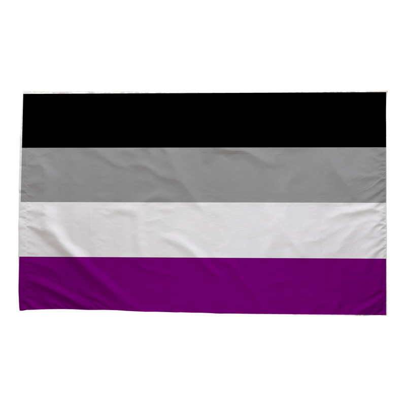 Drapeau de la fierté asexuelle — Drapeau extérieur, H 36 po x l 60 po