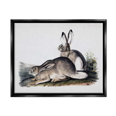 " Rabbit Duo Gazing Animals " by Lettered And Lined Painting Print