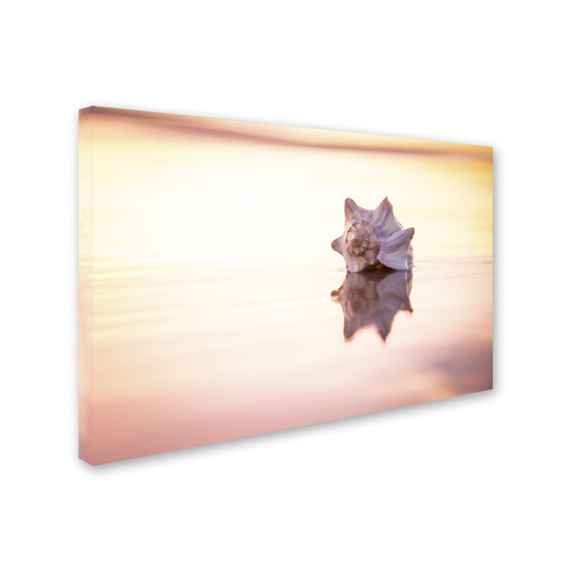 «King of the Beach» par Chris Moyer - reproduction de photo sur toile, H 16 po x l 24 po x P 2 po
