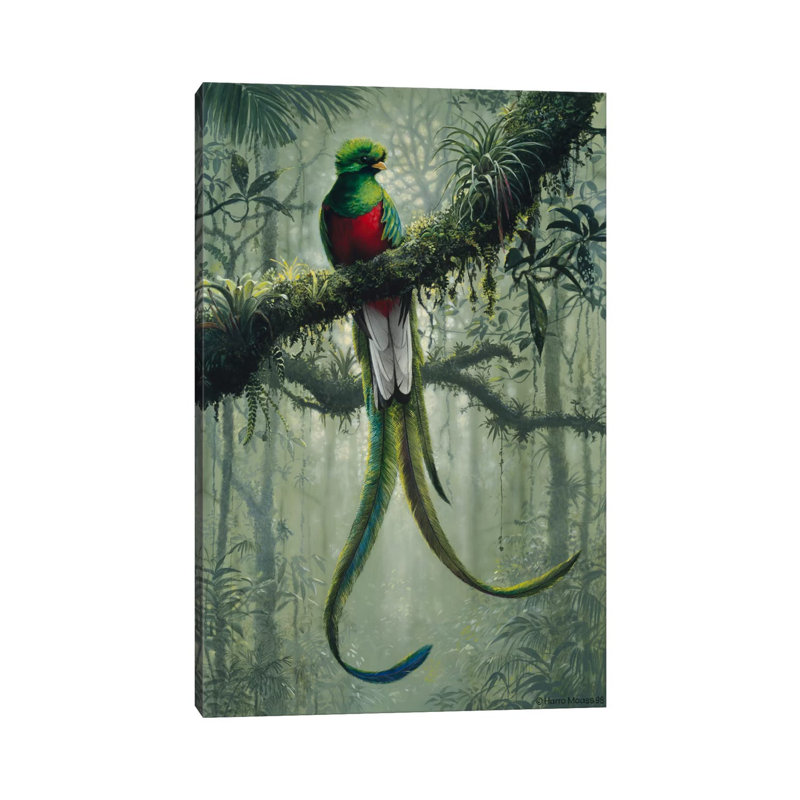 Resplendent Quetzal 2 by Harro Maass - Wrapped Canvas Print, 66.04 cm H x 45.72 cm W x 1.91 cm D