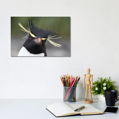 «Rockhopper Penguin» par Elmar Weiss - photographie sur toile tendue