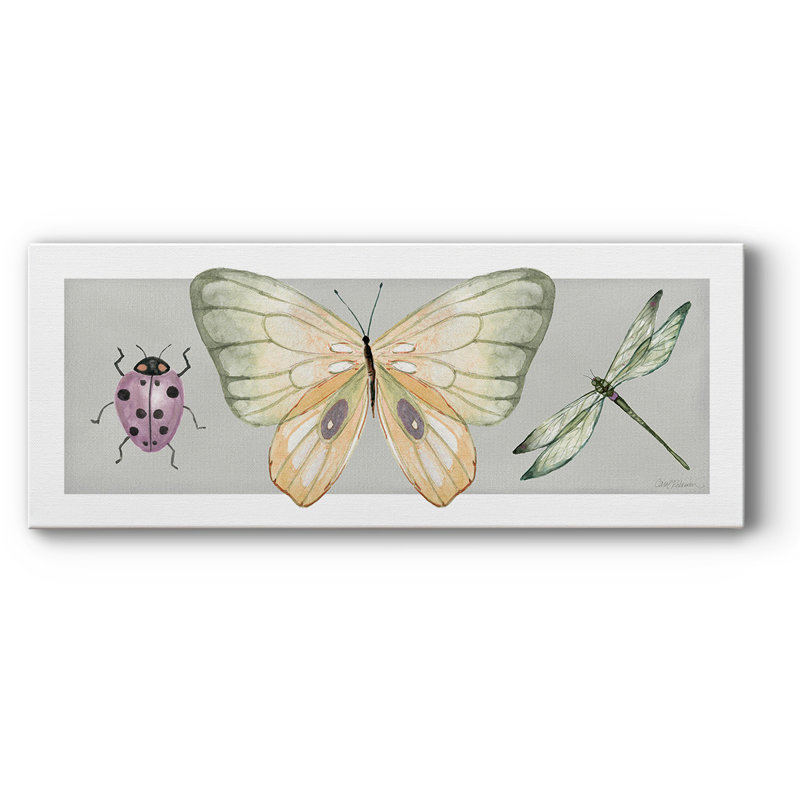 «Pretty Insectes I» sur toile, H 12 po x l 30 po x P 1,5 po