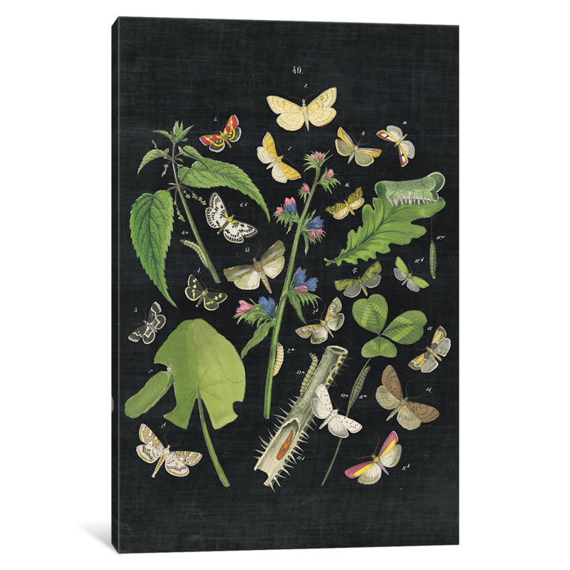 « papillon bouquet iii », impression sur toile tendue, H 40 po x l 26 po x P 1,5 po, Pas de tapis, Toile tendue