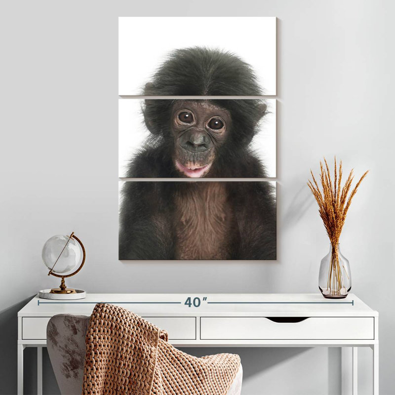 Bébé singe Brampt, H 32 po x l 20 po